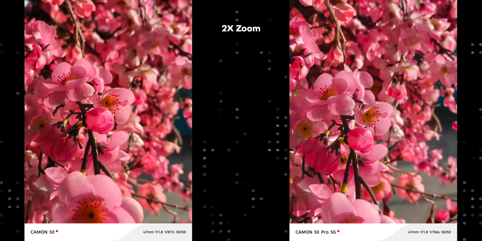 Perbandingan 2x zoom Camon 50 vs Camon 50 Pro dengan objek bunga