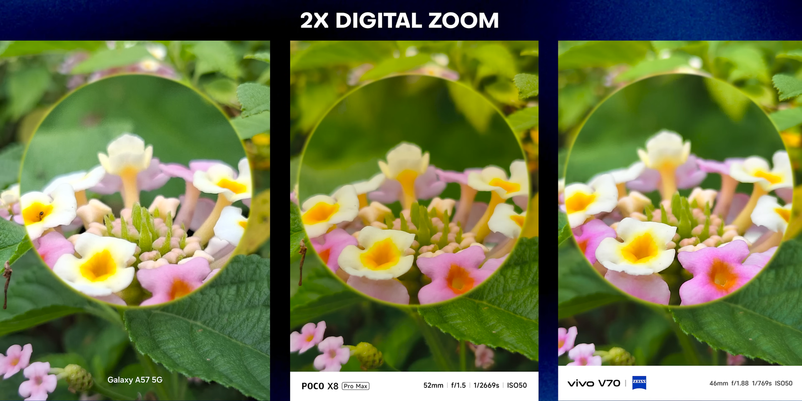 Perbandingan 2x digital zoom pada Galaxy A57, POCO X8 Pro Max, dan Vivo V70 dalam foto close-up bunga